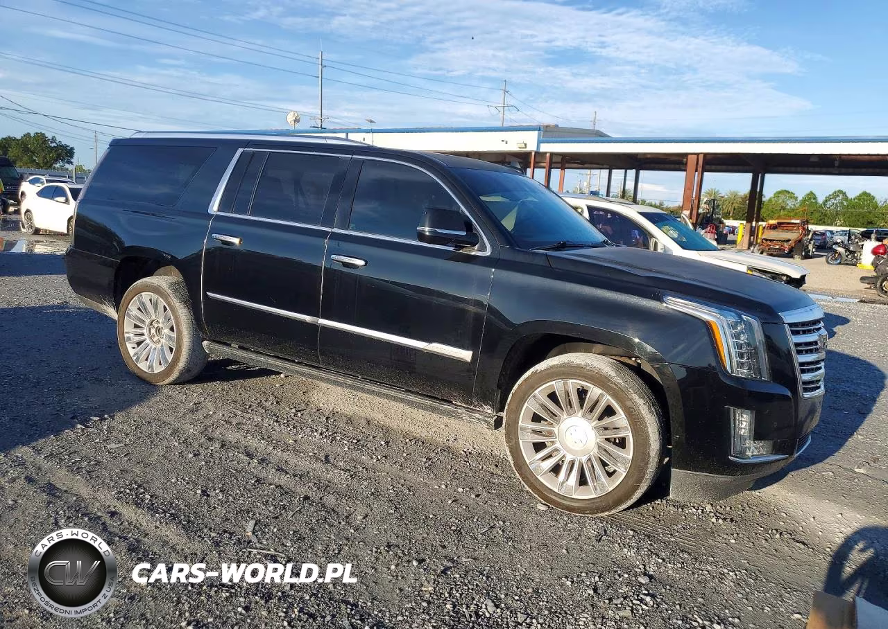 2016 Cadillac Escalade Esv Platinum VIN:1GYS4KKJ9GR423478 - 4