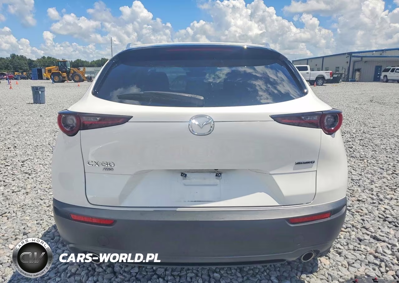 2022 Mazda Cx-30 Premium VIN:3MVDMBDL1NM444030 - 6