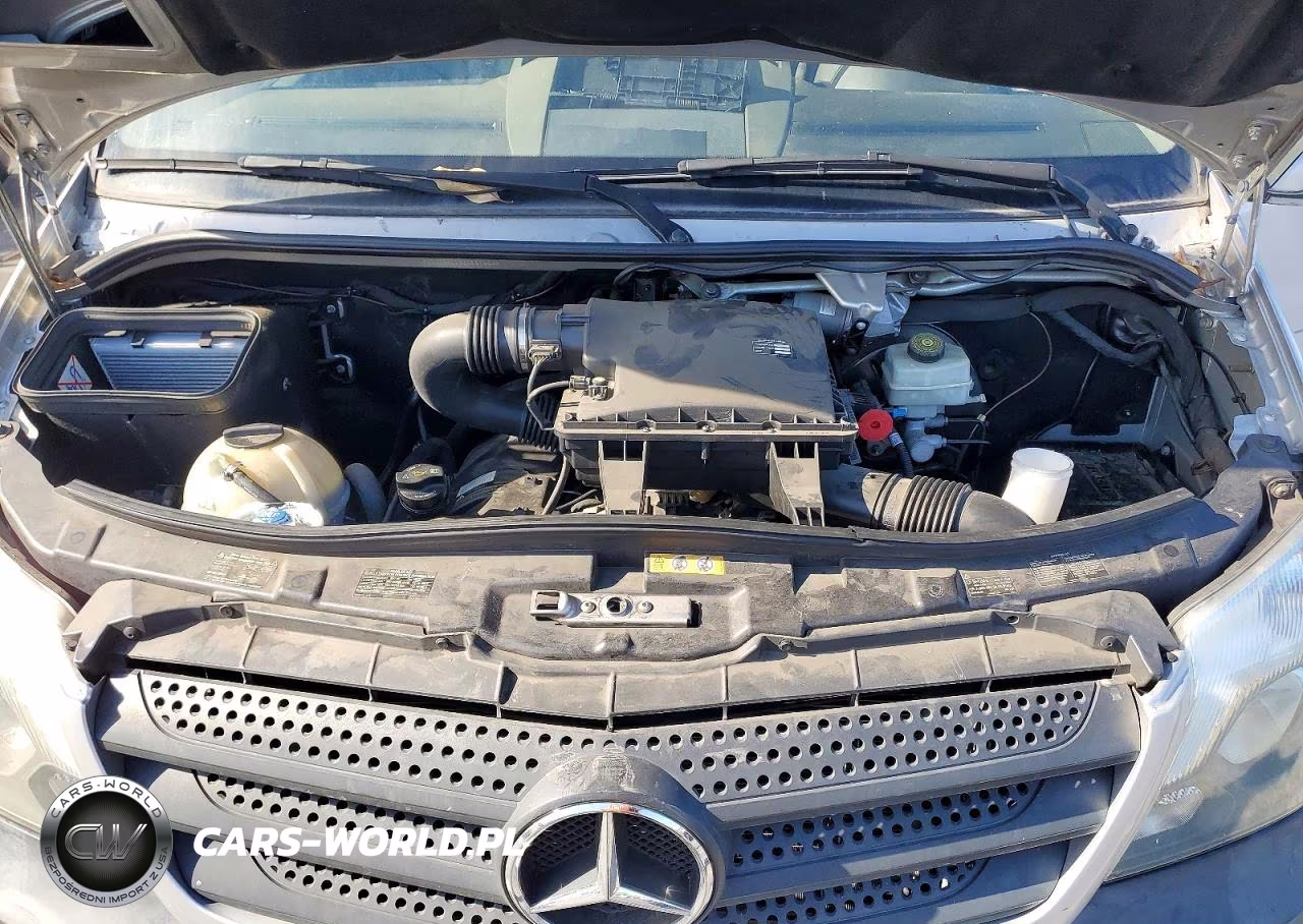 2017 Mercedes-Benz Sprinter 2500 Delivery Van VIN:WD3PE8CD8HP557264 - 12