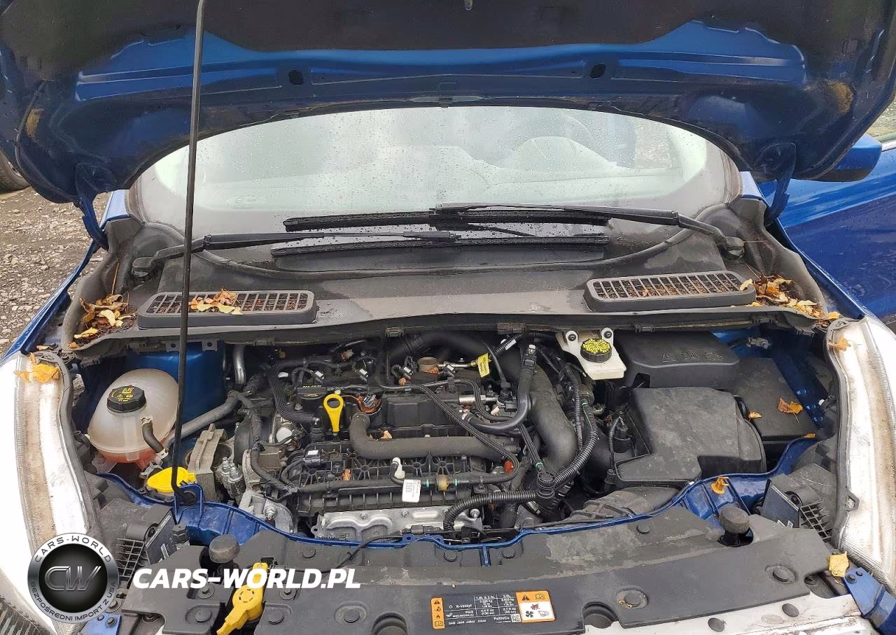 2019 Ford Escape Sel VIN:1FMCU9HDXKUB48676 - 11