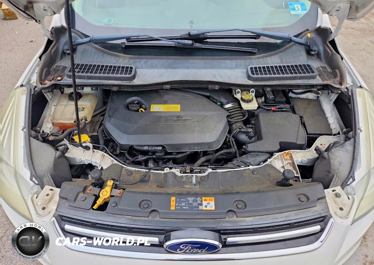 2013 Ford Escape Sel VIN:1FMCU9HXXDUD62435 - 12