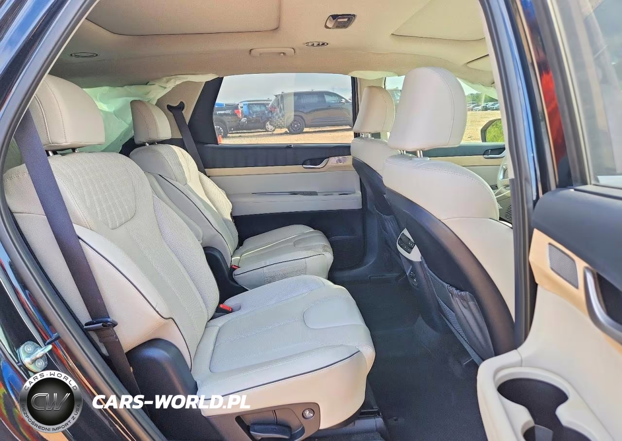 2023 Hyundai Palisade Limited VIN:KM8R54GEXPU609404 - 11