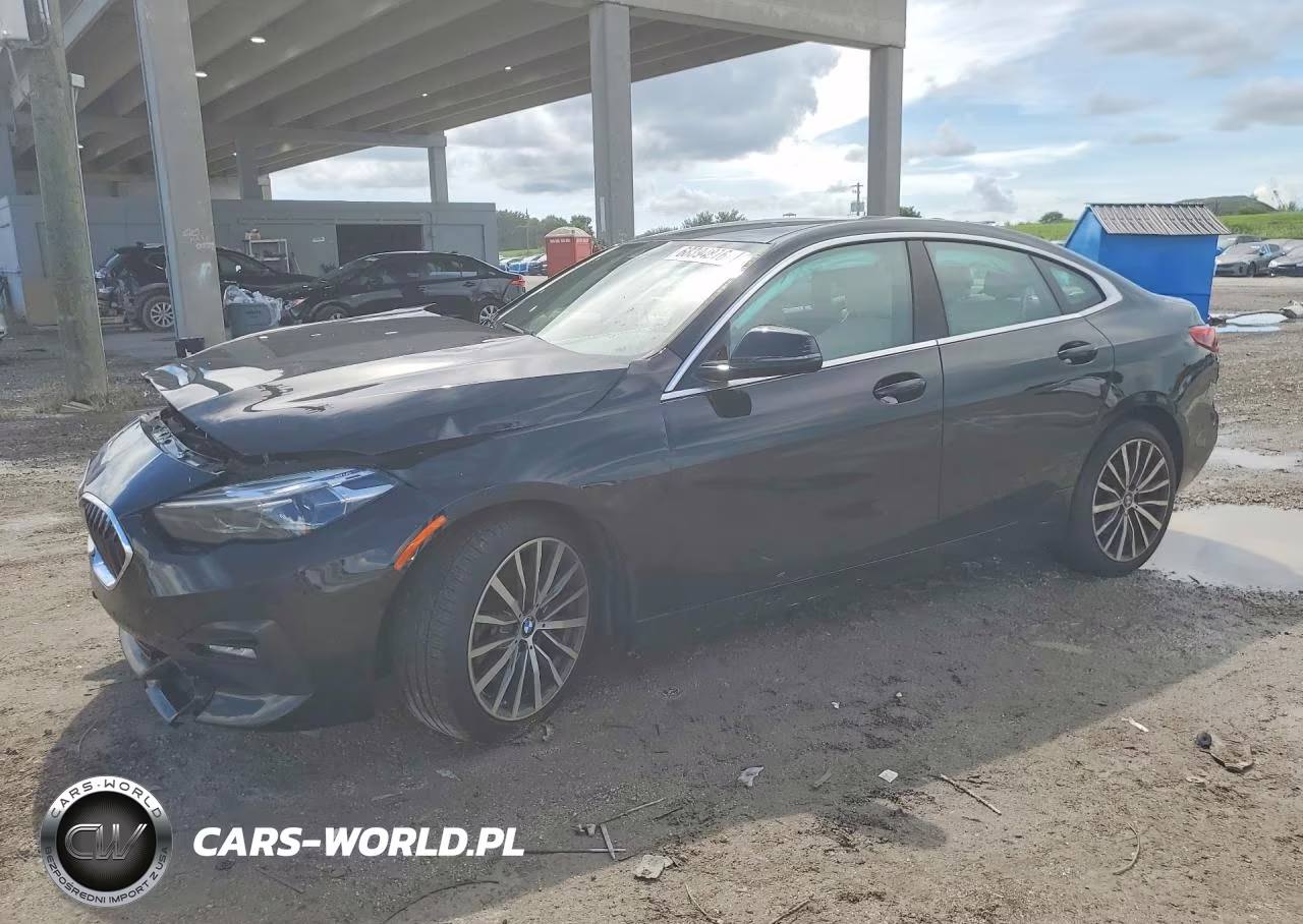 2020 BMW 228Xi VIN:WBA73AK03L7F76170 - 1