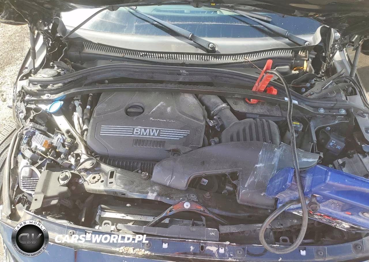 2020 BMW 228Xi VIN:WBA73AK03L7F76170 - 11