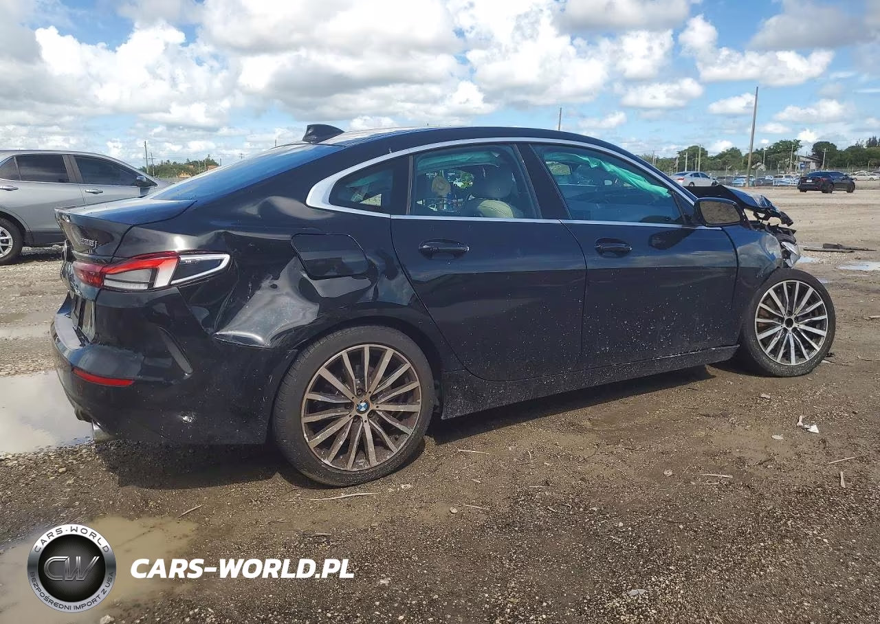 2020 BMW 228Xi VIN:WBA73AK03L7F76170 - 3