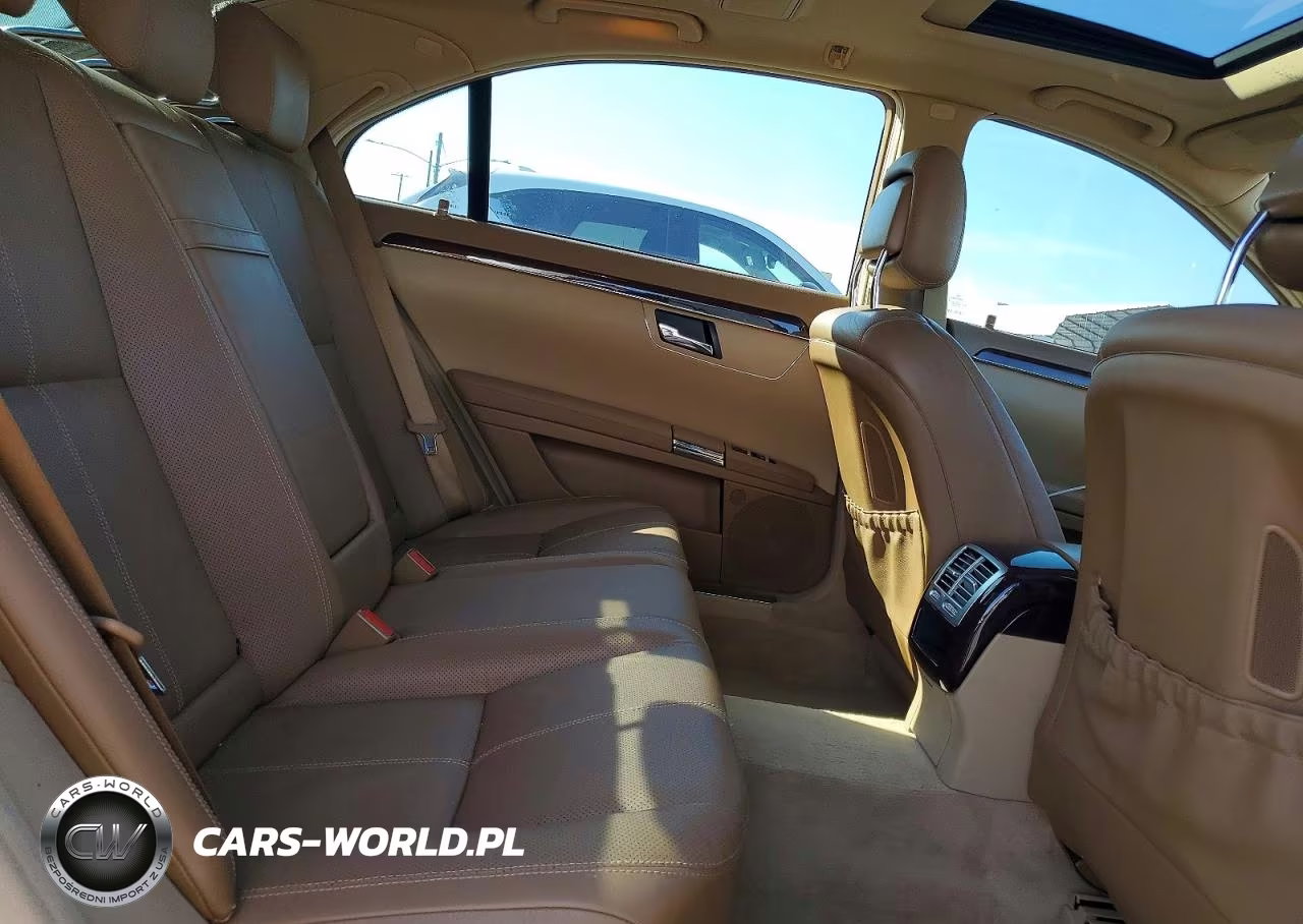 2009 Mercedes-Benz S 550 VIN:WDDNG71X09A251961 - 10