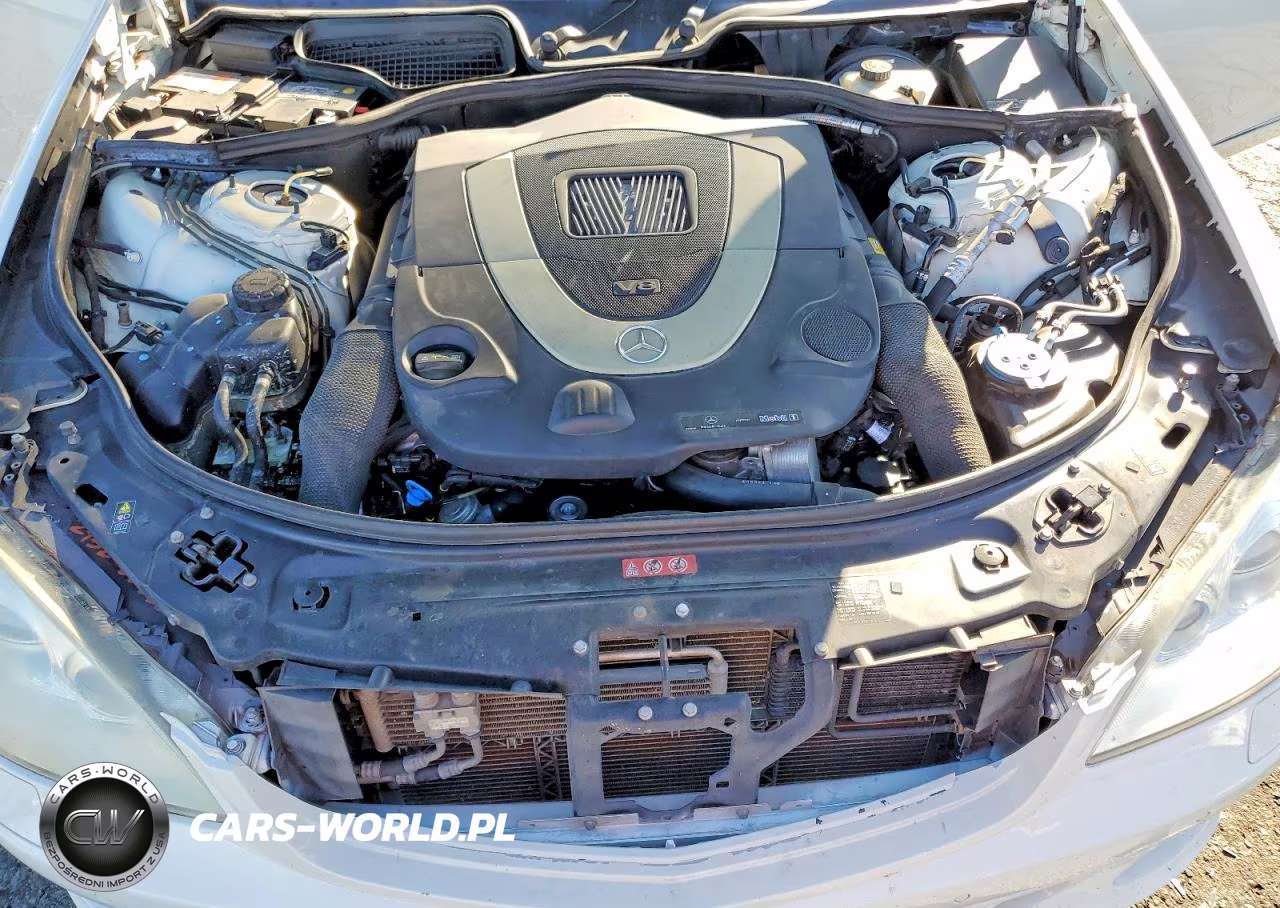 2009 Mercedes-Benz S 550 VIN:WDDNG71X09A251961 - 11