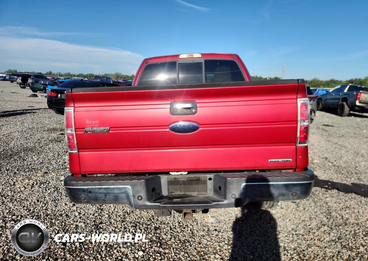 2011 Ford F150 Supercrew VIN:1FTFW1CFXBKD10064 - 6