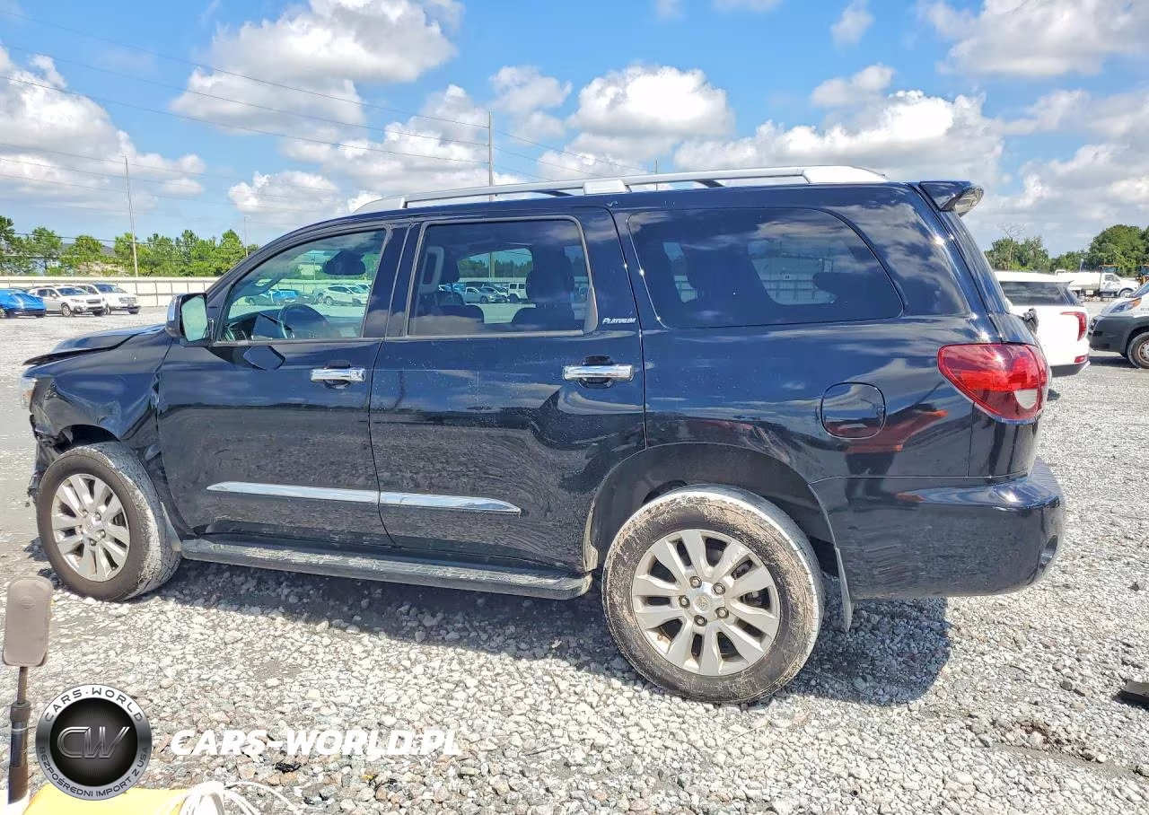 2018 Toyota Sequoia Platinum VIN:5TDDY5G1XJS159158 - 2