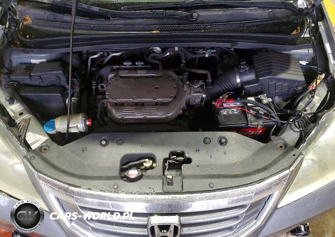 2009 Honda Odyssey Exl VIN:5FNRL38799B023647 - 12