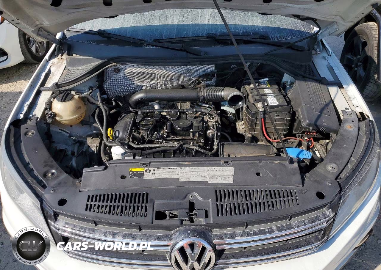 2015 Volkswagen Tiguan S VIN:WVGBV7AX1FW555958 - 12