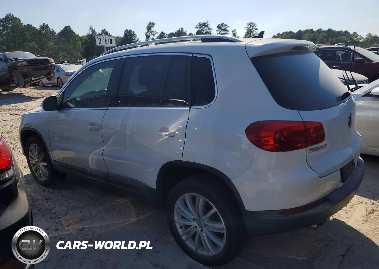 2015 Volkswagen Tiguan S VIN:WVGBV7AX1FW555958 - 2