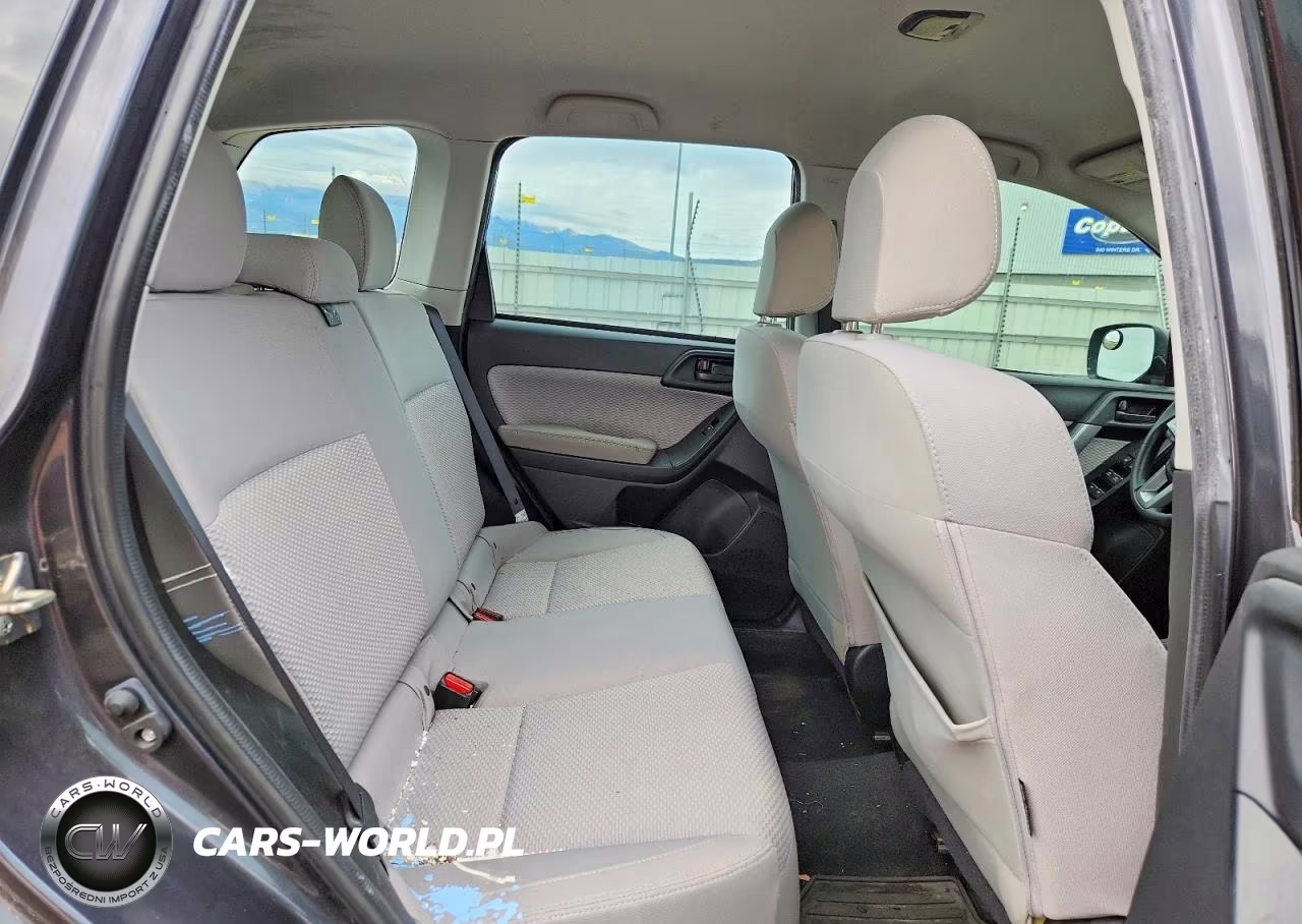 2018 Subaru Forester 2.5I VIN:JF2SJABC7JH596182 - 10