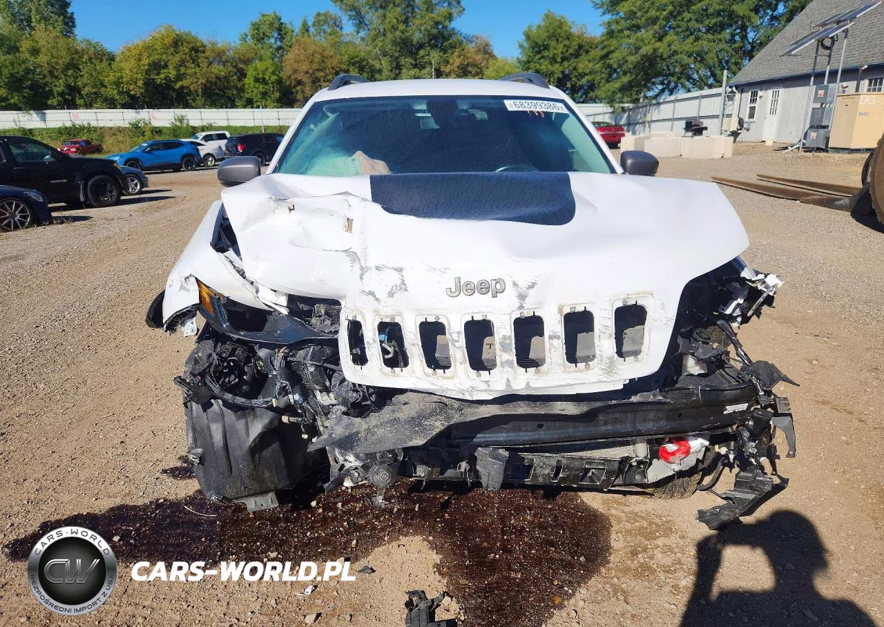 2020 Jeep Cherokee Trailhawk VIN:1C4PJMBX2LD613263 - 5