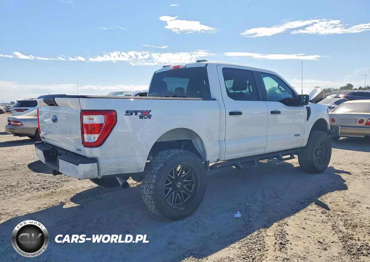 2023 Ford F150 Supercrew VIN:1FTEW1EPXPFA25219 - 3