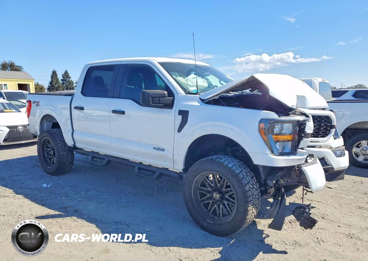 2023 Ford F150 Supercrew VIN:1FTEW1EPXPFA25219 - 4