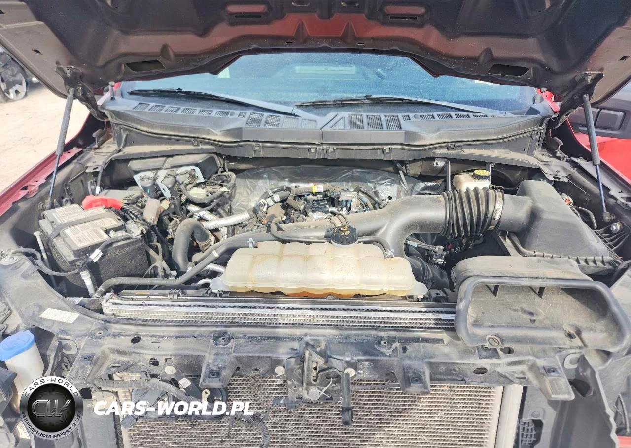 2023 Ford F150 Supercrew VIN:1FTEW1CP0PKF12018 - 11