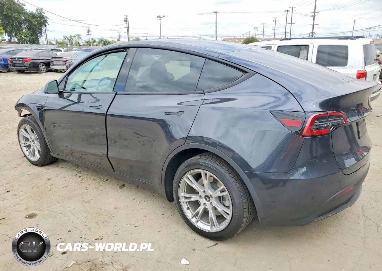 2024 Tesla Model Y VIN:7SAYGDEDXRF046034 - 2
