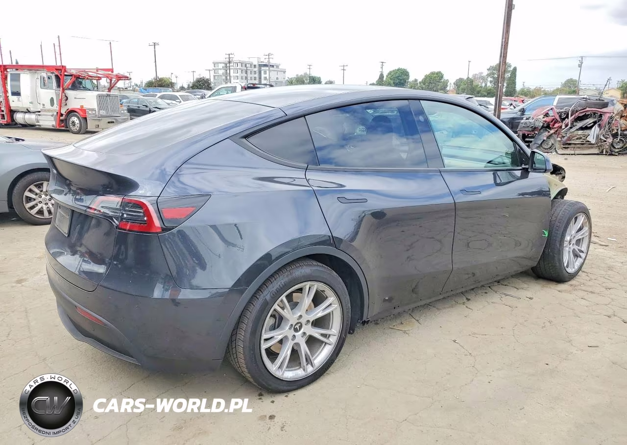 2024 Tesla Model Y VIN:7SAYGDEDXRF046034 - 3