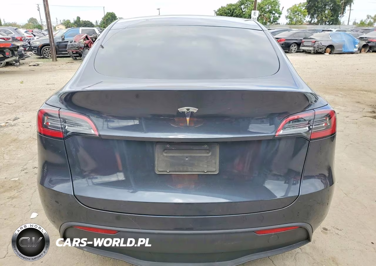2024 Tesla Model Y VIN:7SAYGDEDXRF046034 - 6