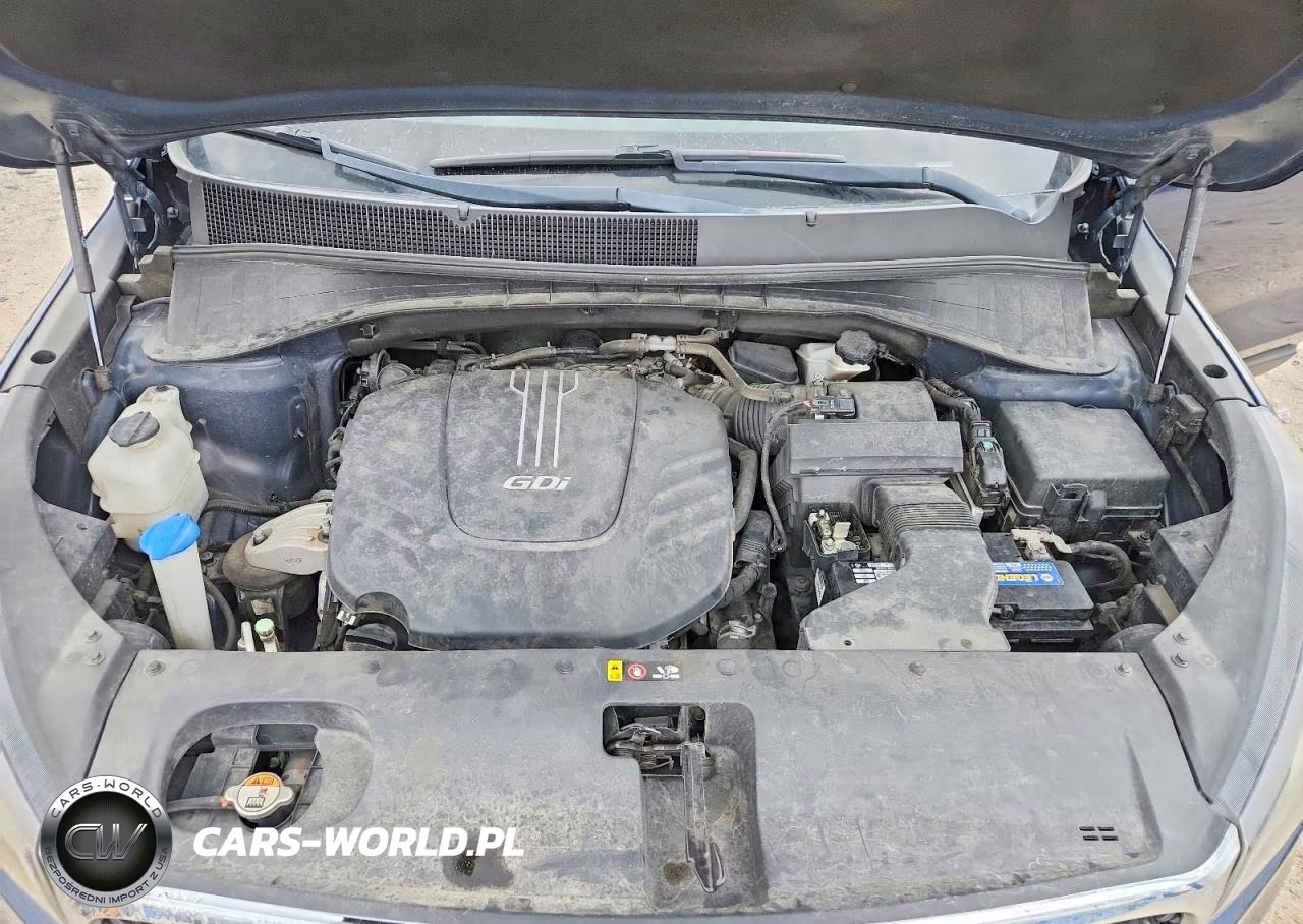 2017 Kia Sorento Lx V6 VIN:5XYPGDA57HG319591 - 12