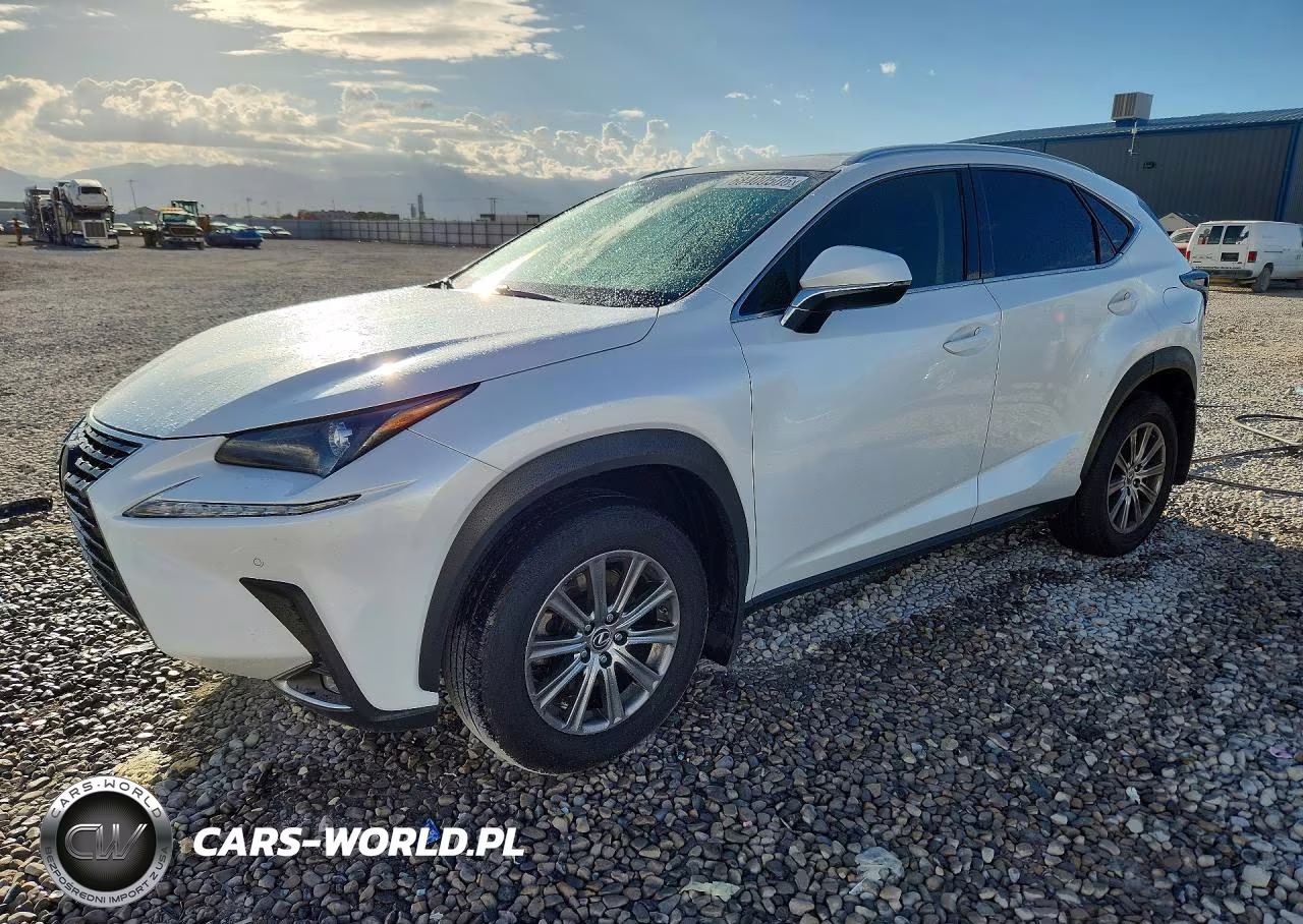 2020 Lexus Nx 300 VIN:JTJDARDZ9L5003253 - 1