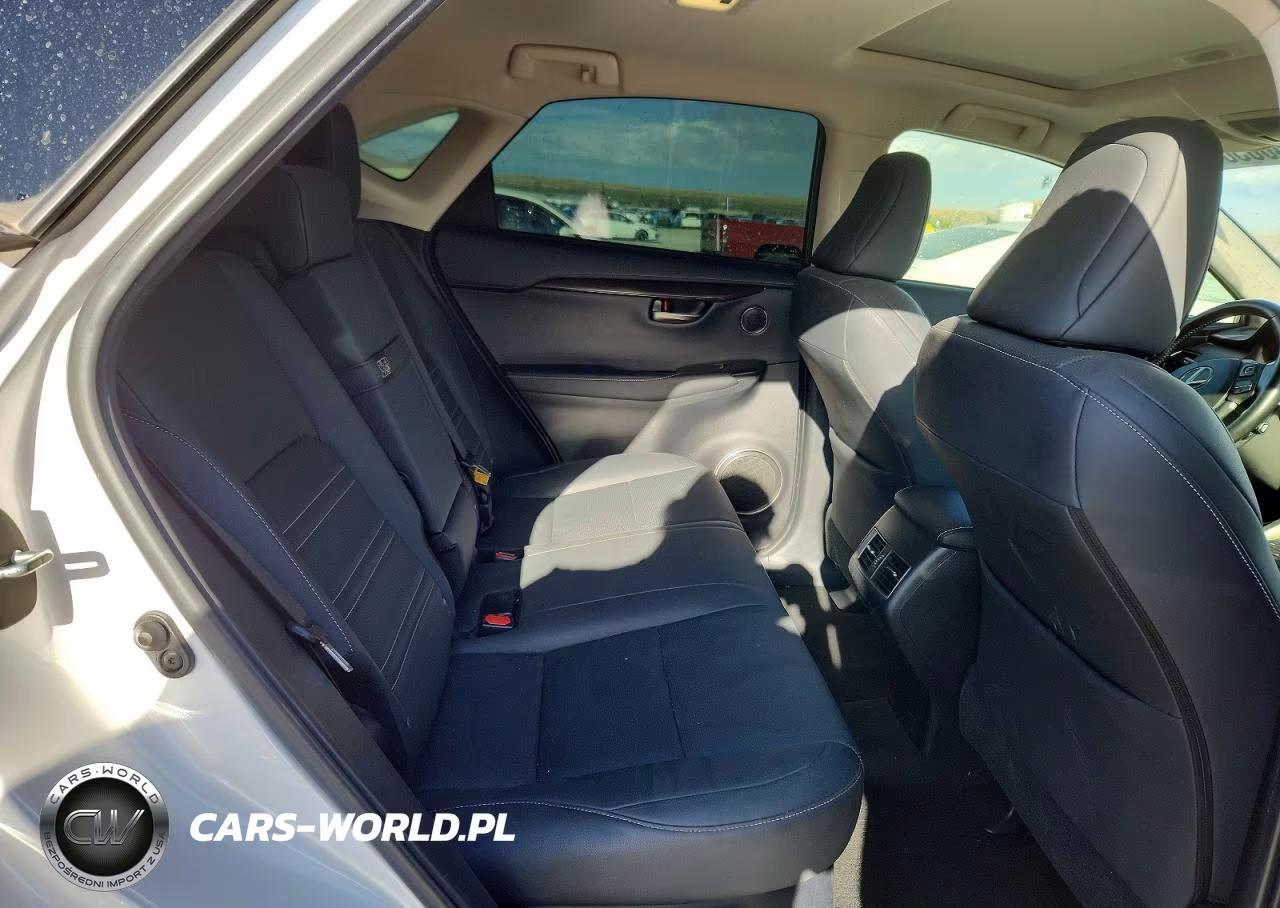 2020 Lexus Nx 300 VIN:JTJDARDZ9L5003253 - 10