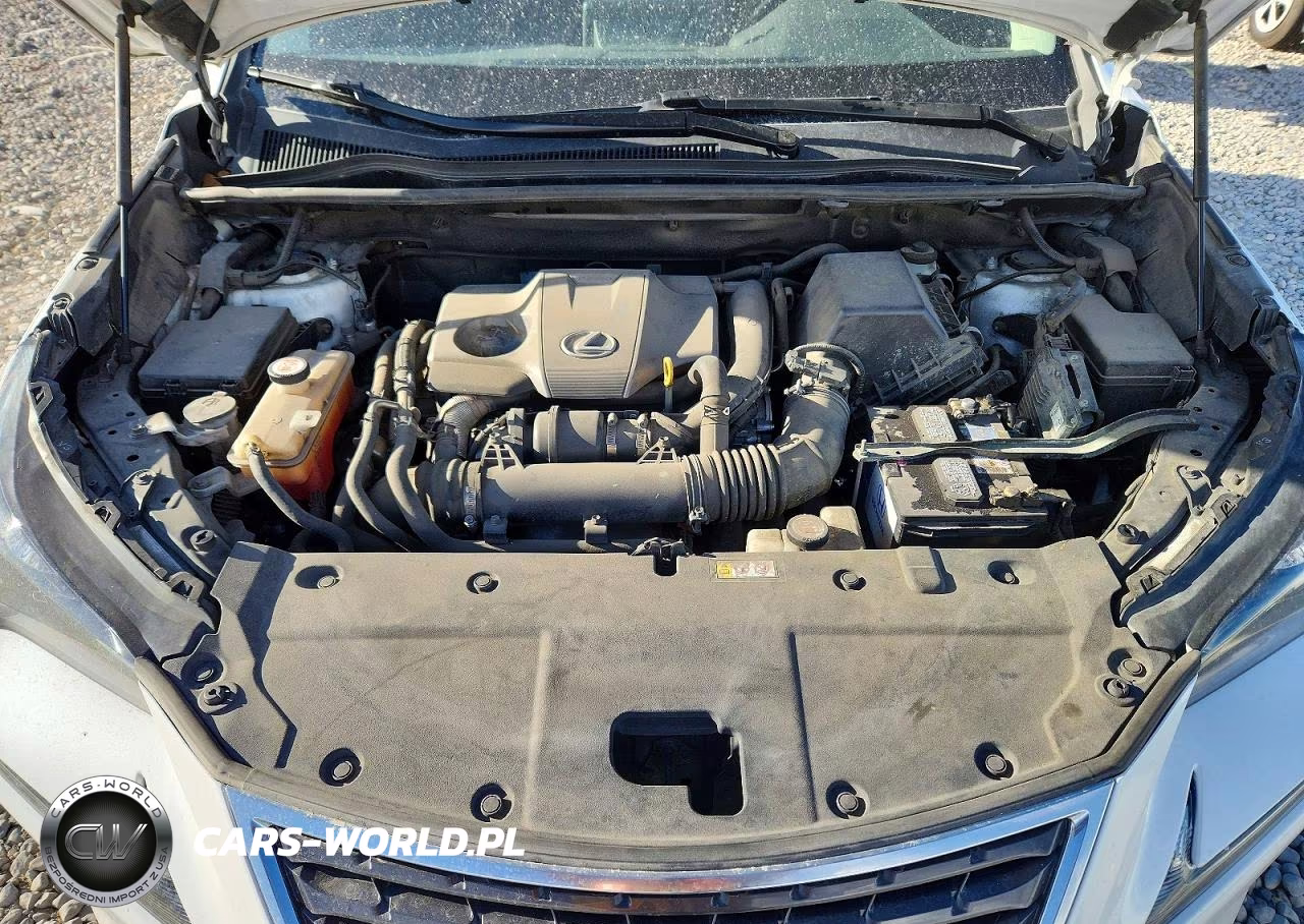 2020 Lexus Nx 300 VIN:JTJDARDZ9L5003253 - 11