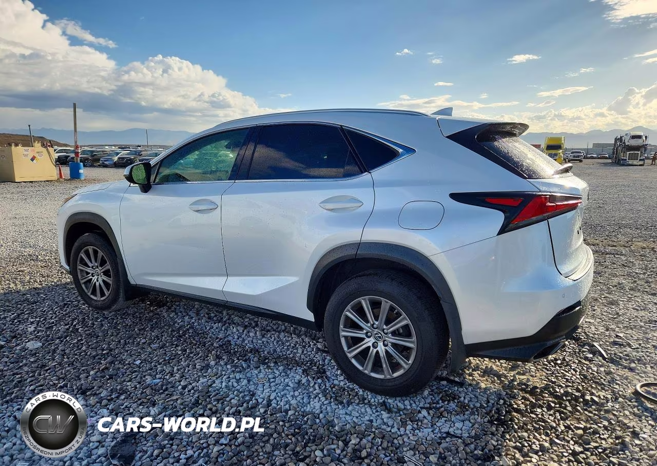 2020 Lexus Nx 300 VIN:JTJDARDZ9L5003253 - 2