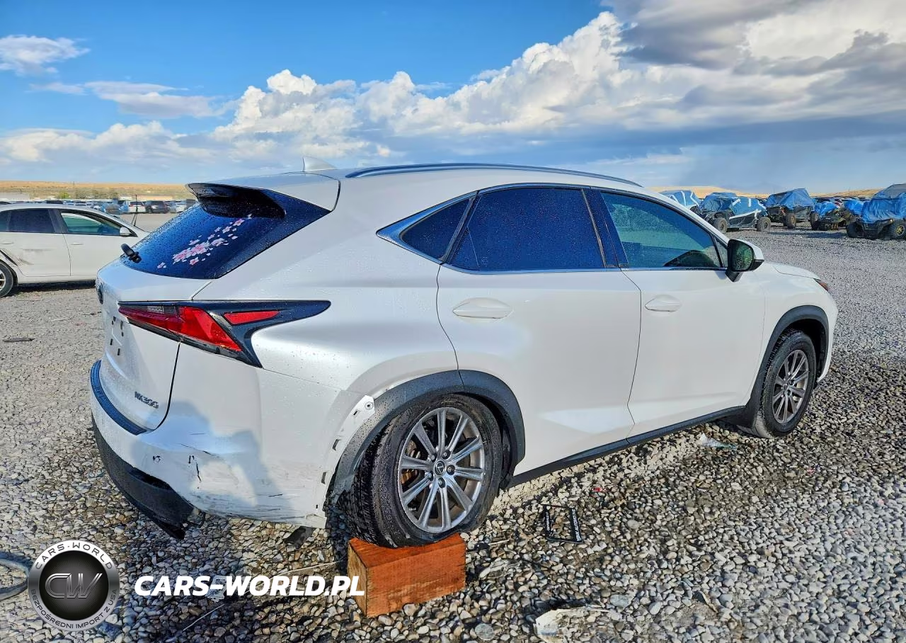 2020 Lexus Nx 300 VIN:JTJDARDZ9L5003253 - 3
