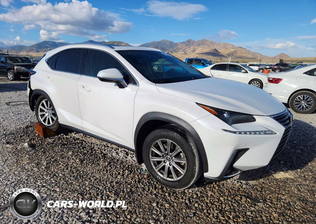 2020 Lexus Nx 300 VIN:JTJDARDZ9L5003253 - 4