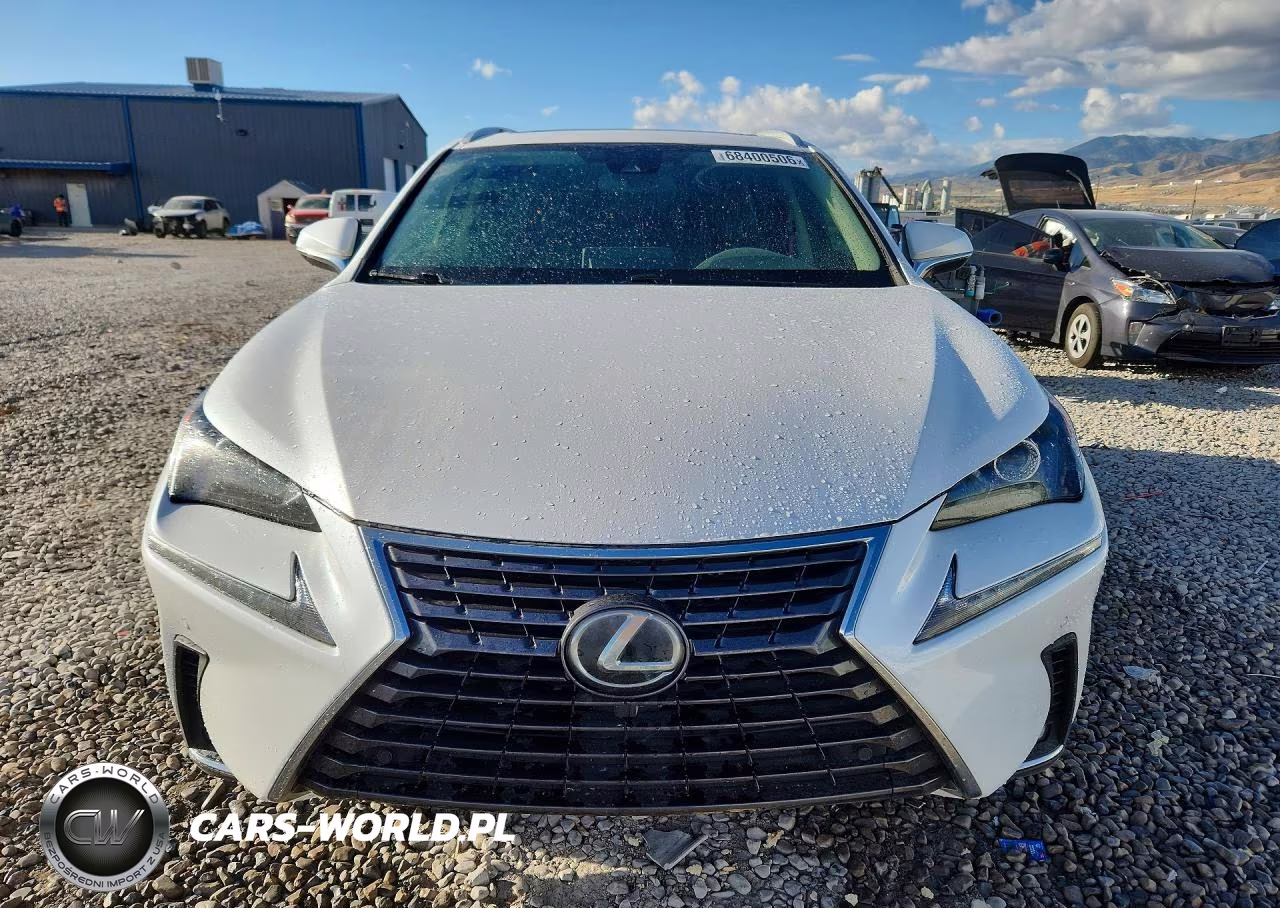 2020 Lexus Nx 300 VIN:JTJDARDZ9L5003253 - 5