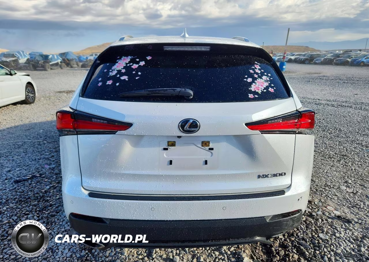 2020 Lexus Nx 300 VIN:JTJDARDZ9L5003253 - 6