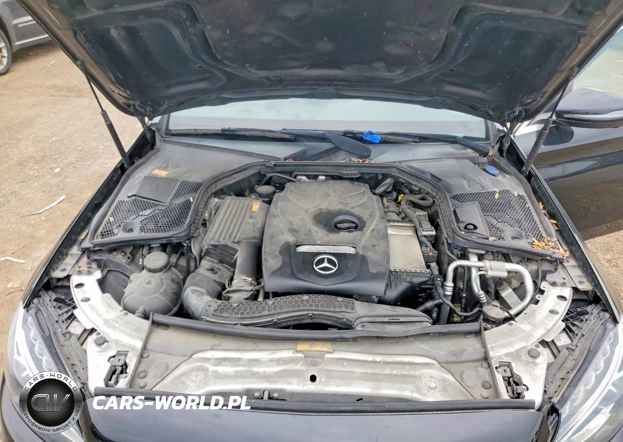 2016 Mercedes-Benz C 300 4Matic VIN:55SWF4KBXGU098995 - 11