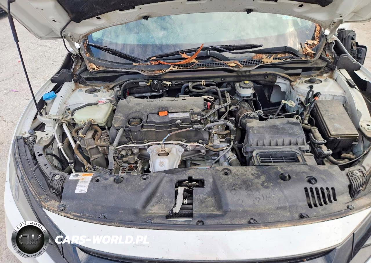 2019 Honda Civic Lx VIN:2HGFC2F63KH540807 - 11