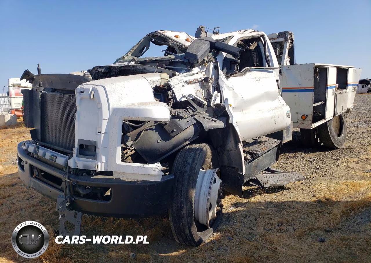 2019 Ford F650 Super - Grapple Truck VIN:1FDNF6AYXKDF03621 - 1