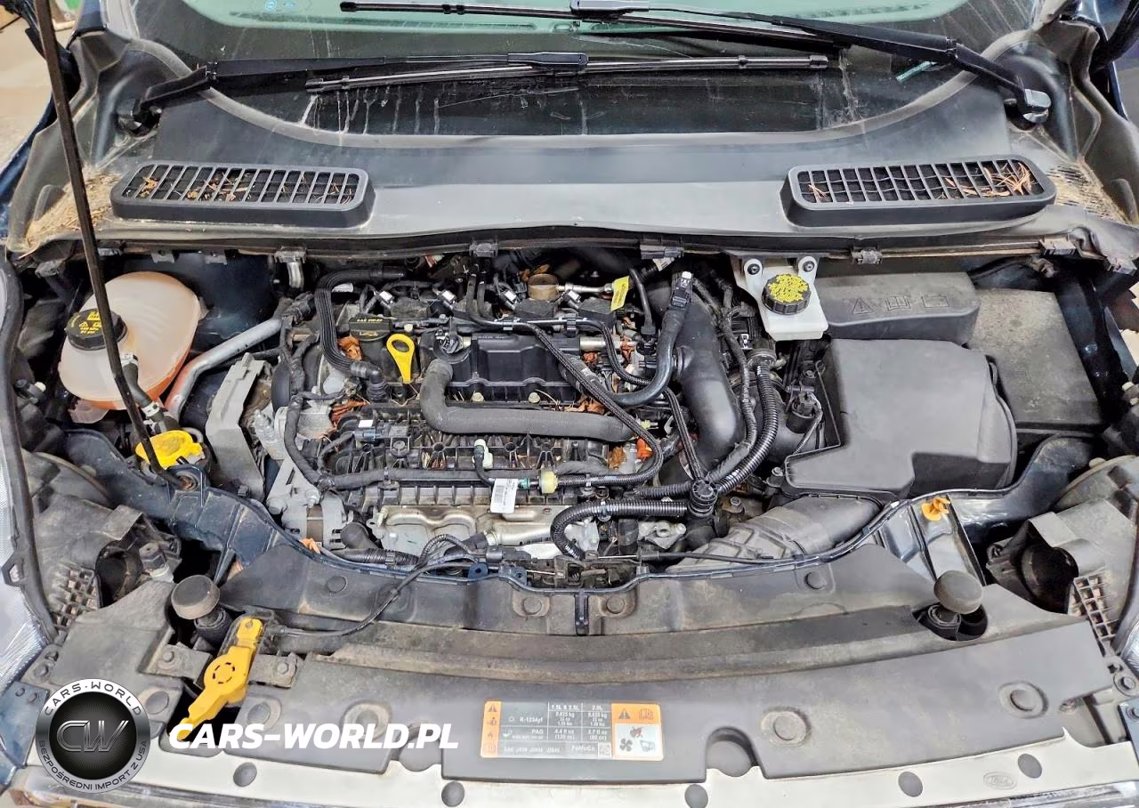 2019 Ford Escape Se VIN:1FMCU9GD7KUC00542 - 12