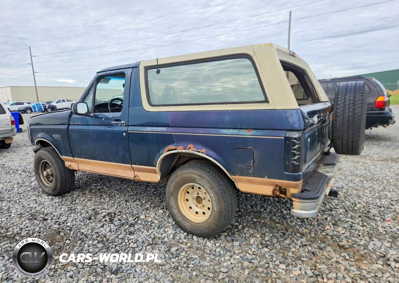 1994 Ford Bronco U100 VIN:1FMEU15H9RLB31465 - 2