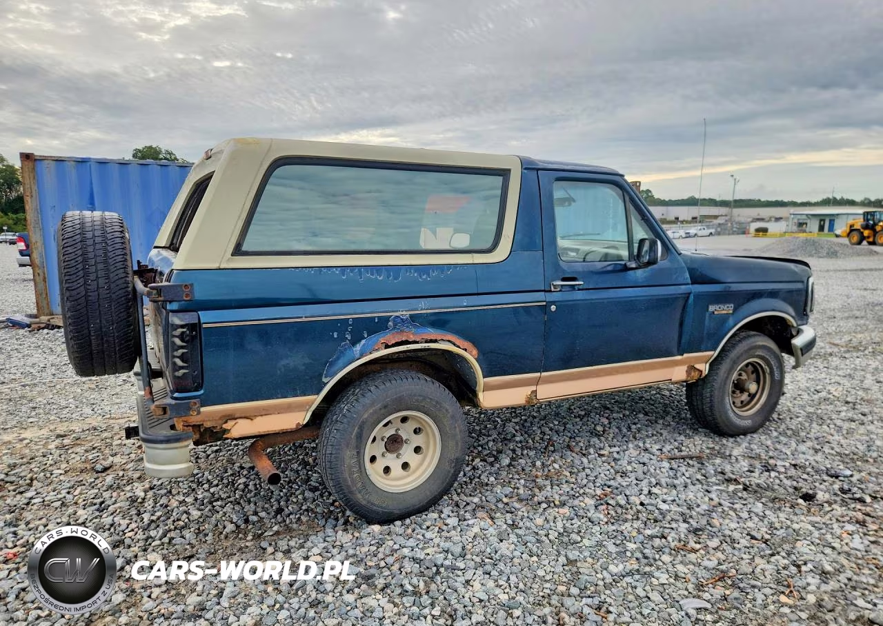 1994 Ford Bronco U100 VIN:1FMEU15H9RLB31465 - 3