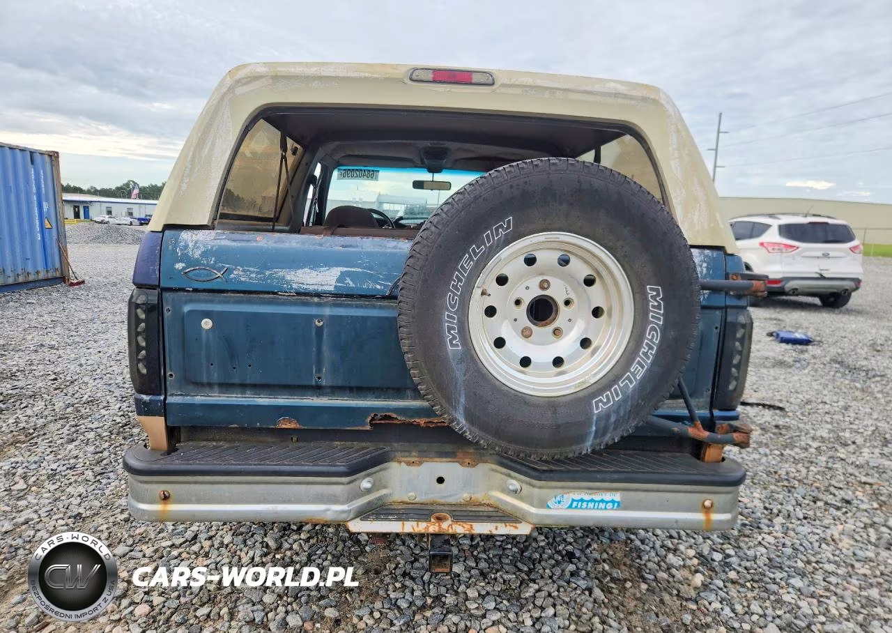 1994 Ford Bronco U100 VIN:1FMEU15H9RLB31465 - 6