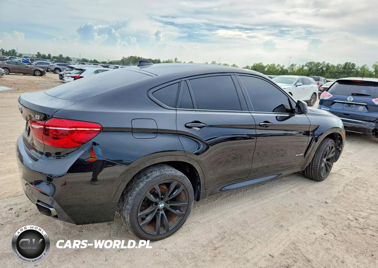 2017 BMW X6 Sdrive35I VIN:5UXKU0C3XH0G68968 - 3