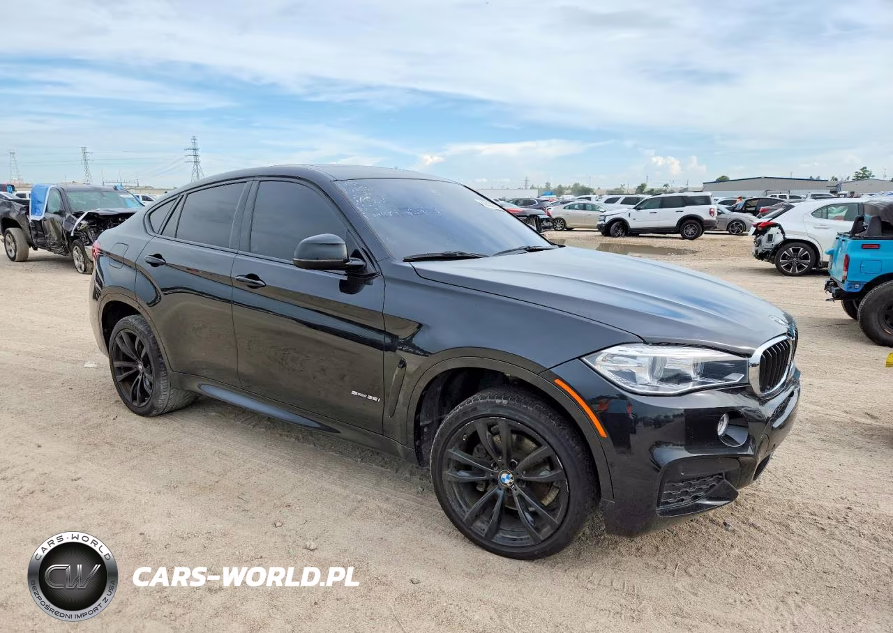 2017 BMW X6 Sdrive35I VIN:5UXKU0C3XH0G68968 - 4