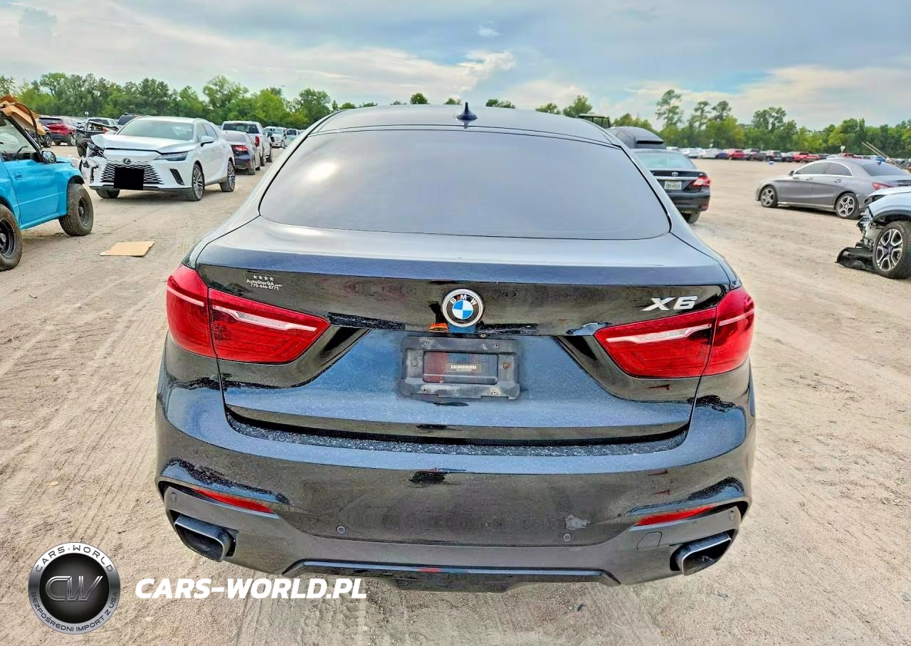 2017 BMW X6 Sdrive35I VIN:5UXKU0C3XH0G68968 - 6