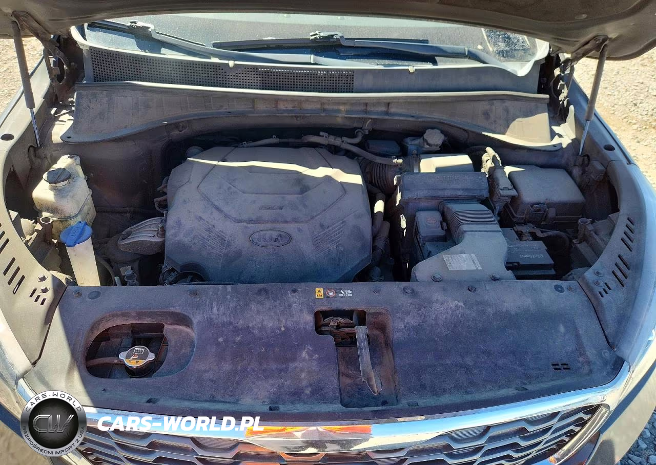 2019 Kia Sorento Ex V6 VIN:5XYPH4A53KG448383 - 12