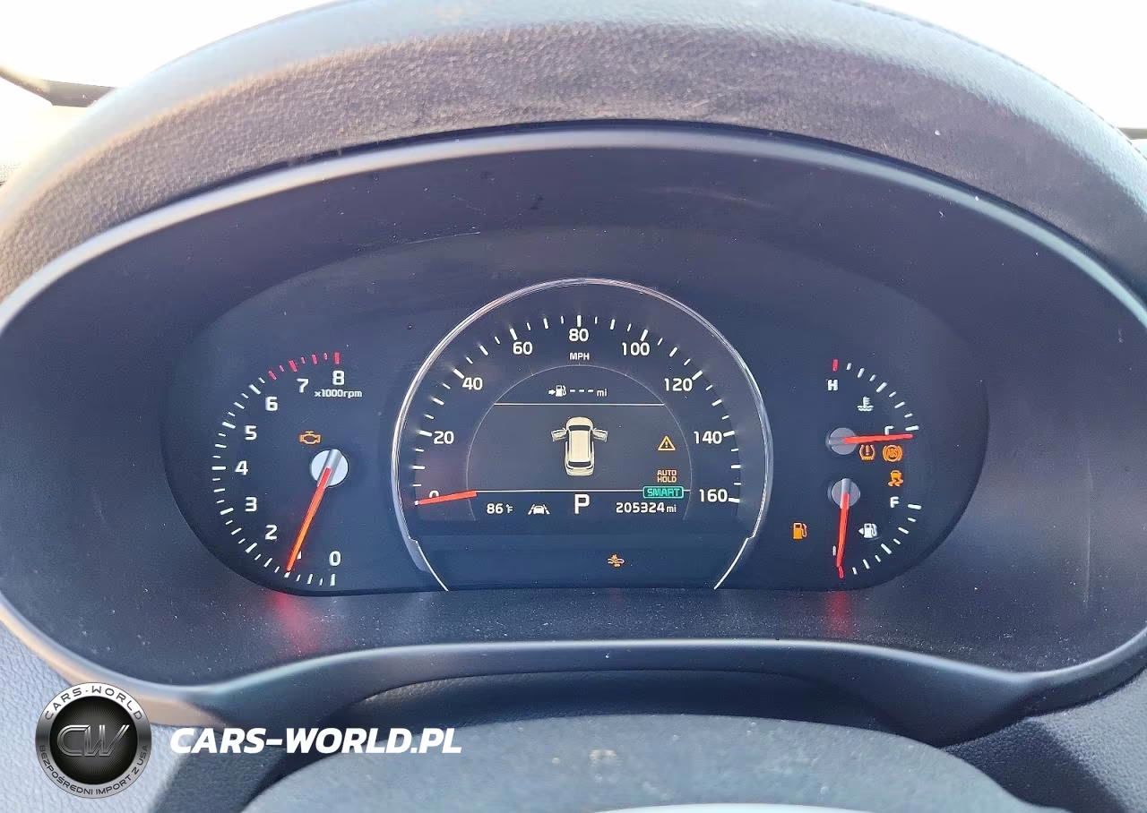 2019 Kia Sorento Ex V6 VIN:5XYPH4A53KG448383 - 9