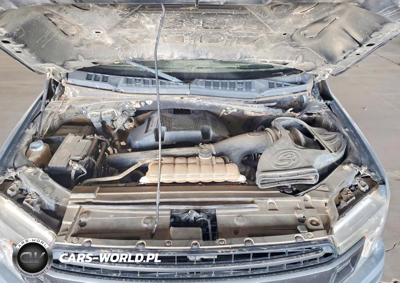 2019 Ford F150 Supercrew VIN:1FTEW1E43KKE63893 - 11