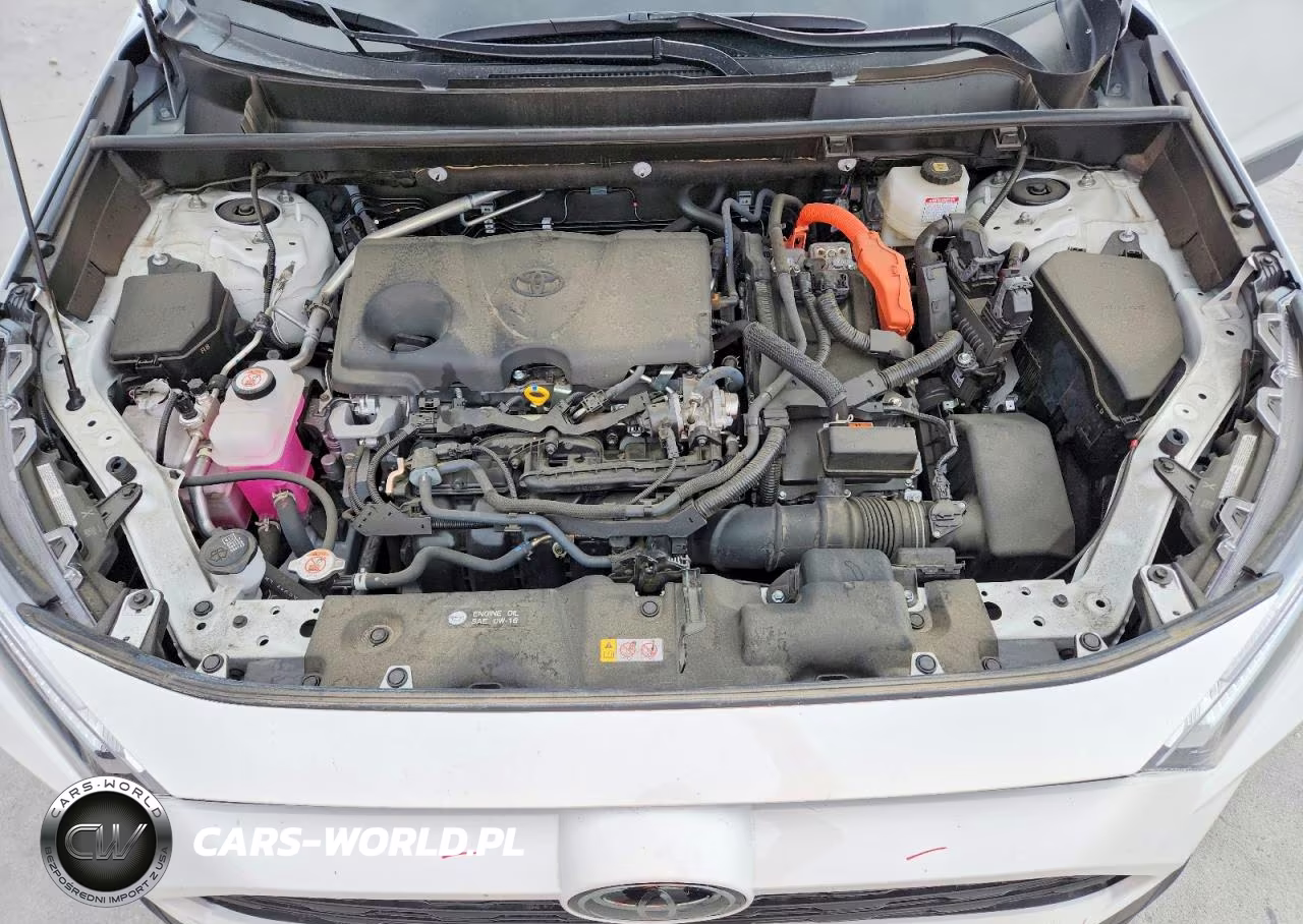 2025 Toyota Rav4 Hybrid Xle VIN:JTMRWRFV6SD276739 - 12