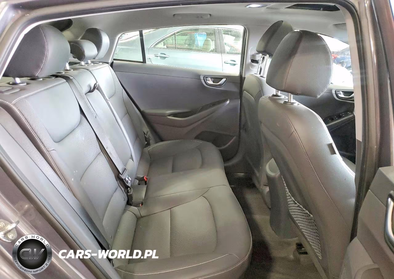 2019 Hyundai Ioniq Limited VIN:KMHC85LC5KU136138 - 10