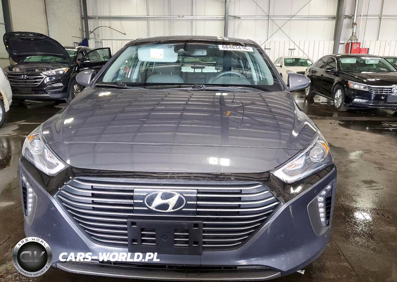 2019 Hyundai Ioniq Limited VIN:KMHC85LC5KU136138 - 5