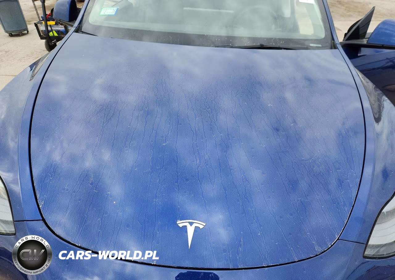 2024 Tesla Model Y VIN:7SAYGDEE6RA281827 - 11